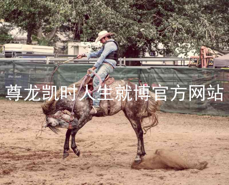 尊龙凯时人生就博官方网站