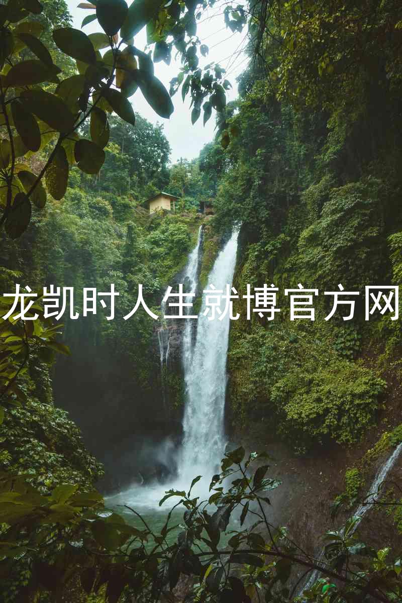 尊龙凯时人生就博官方网站